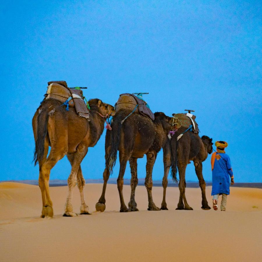 Authentic Desert Luxury Camp Merzouga Eksteriør bilde